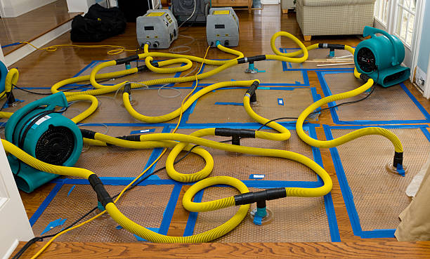 Professional Sewage Cleanup technician working in Plainview, MN